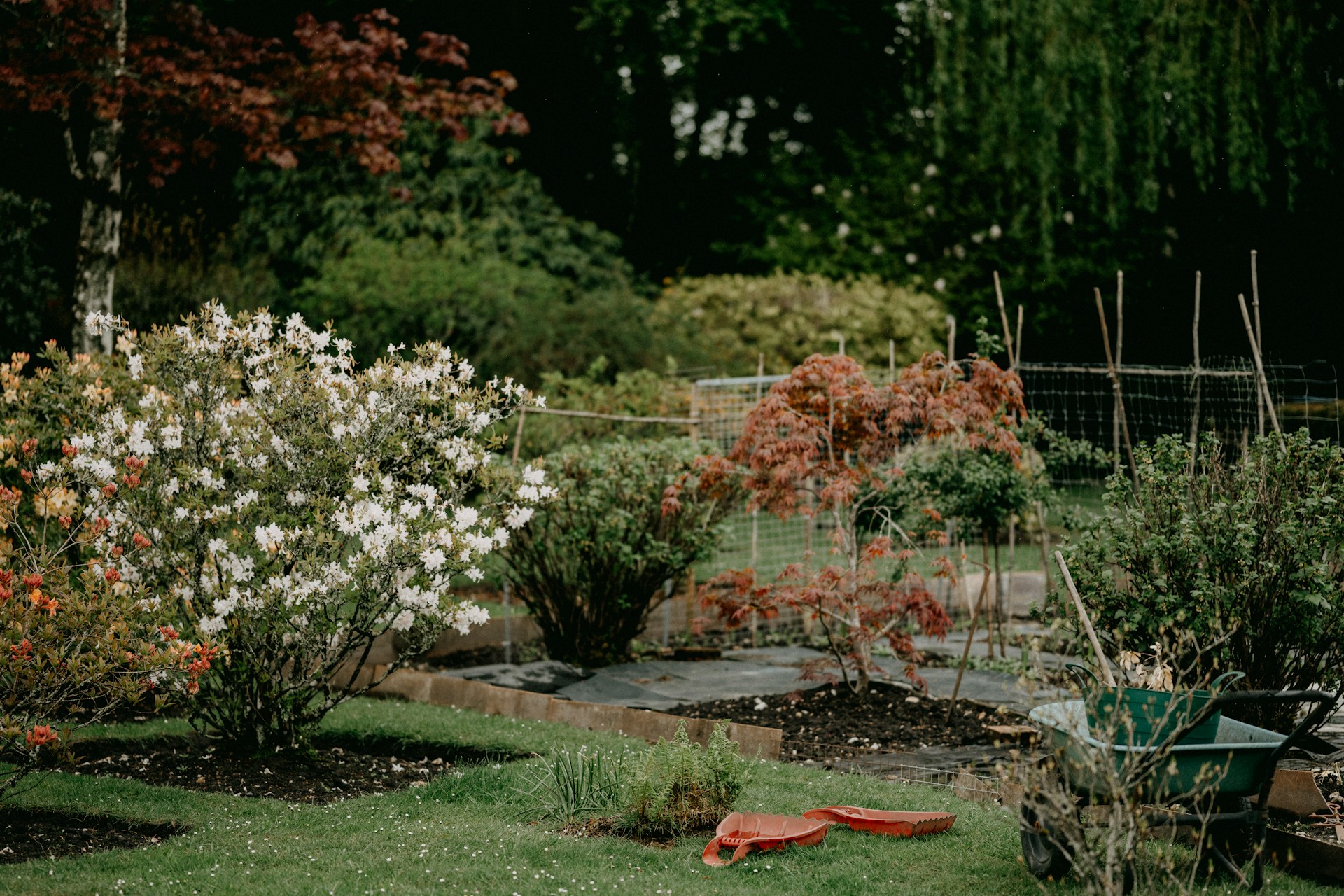 home landscape
