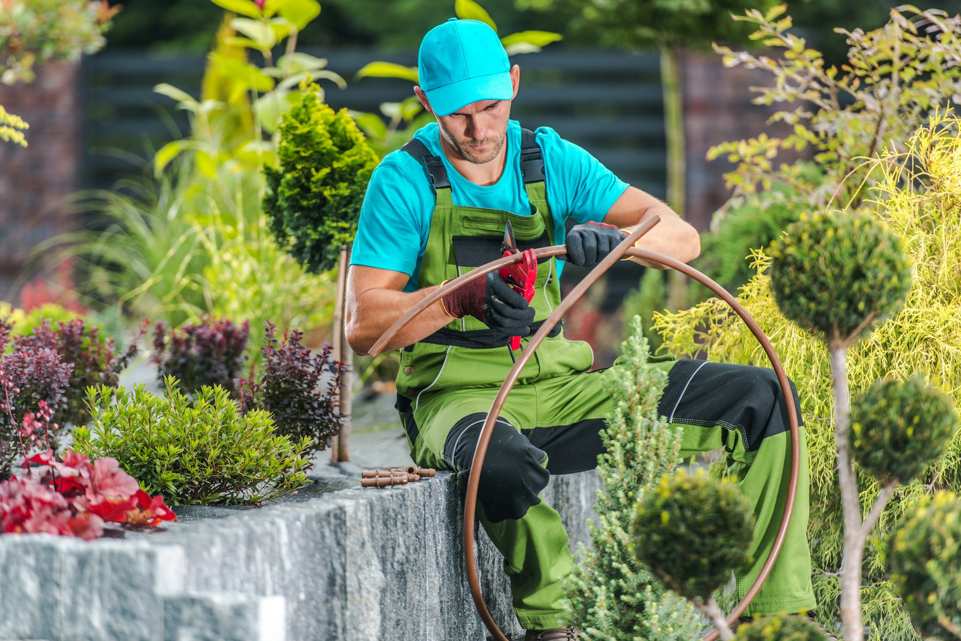 landscape designer