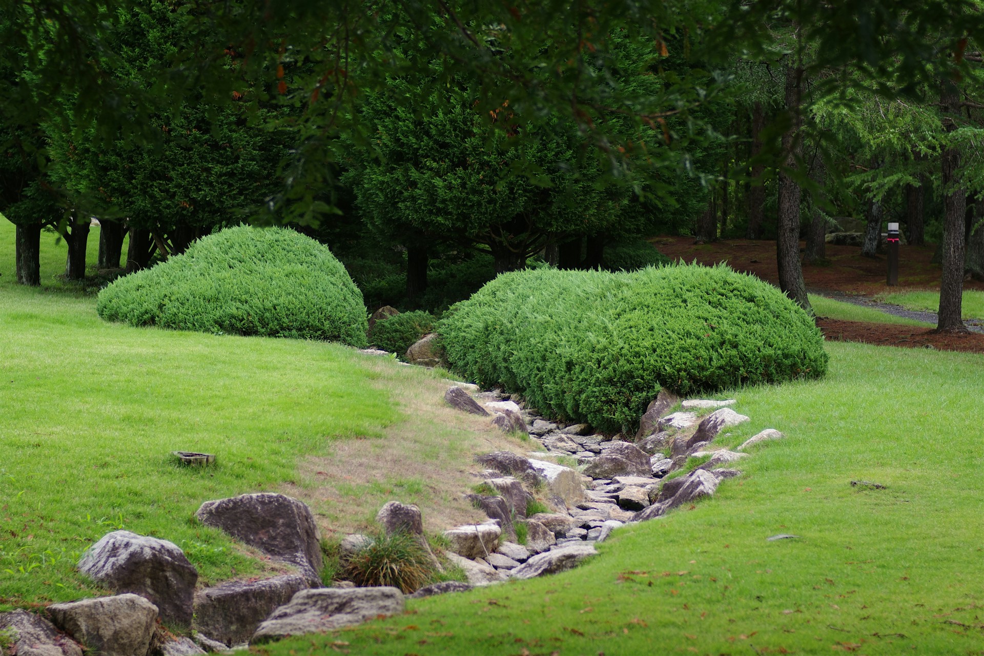 Dry Creek Beds