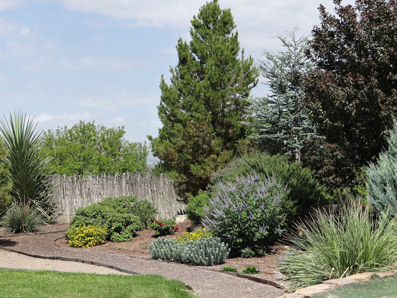 landscape design