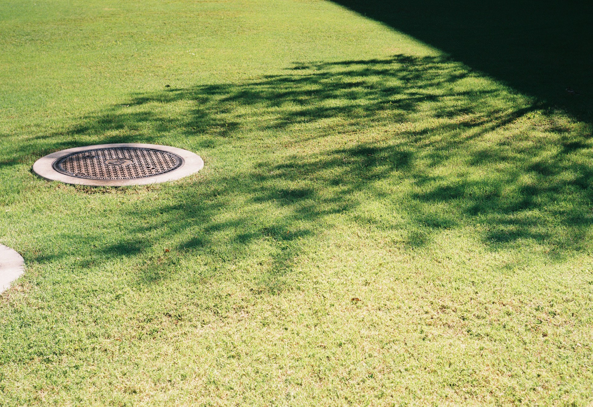 Commercial Landscaping