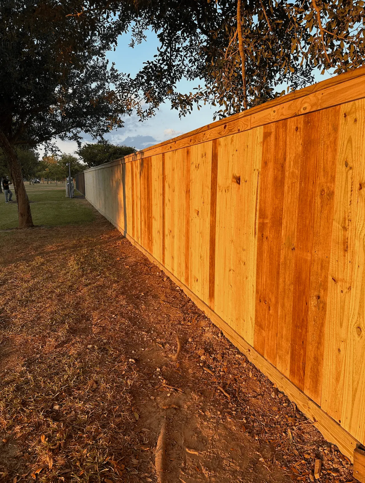 fence