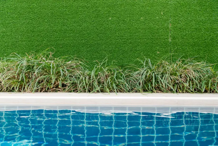 Close view of synthetic turf edged against a pool coping and border planting